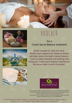 a flyer for a spa treatment